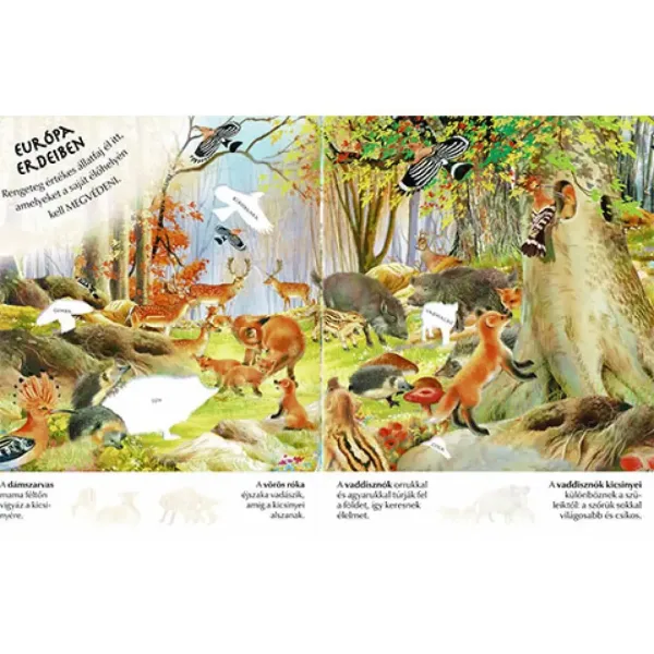 imagen de Qué interesante es el mundo... Cuaderno de pegatinas de animales 2