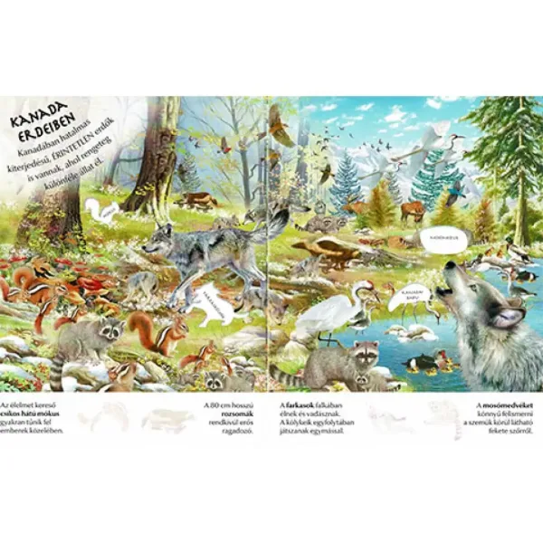imagen de Qué interesante es el mundo... Cuaderno de pegatinas de animales 3