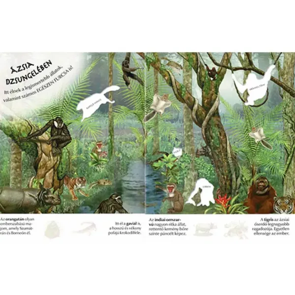 imagen de Qué interesante es el mundo... Cuaderno de pegatinas de animales salvajes 3