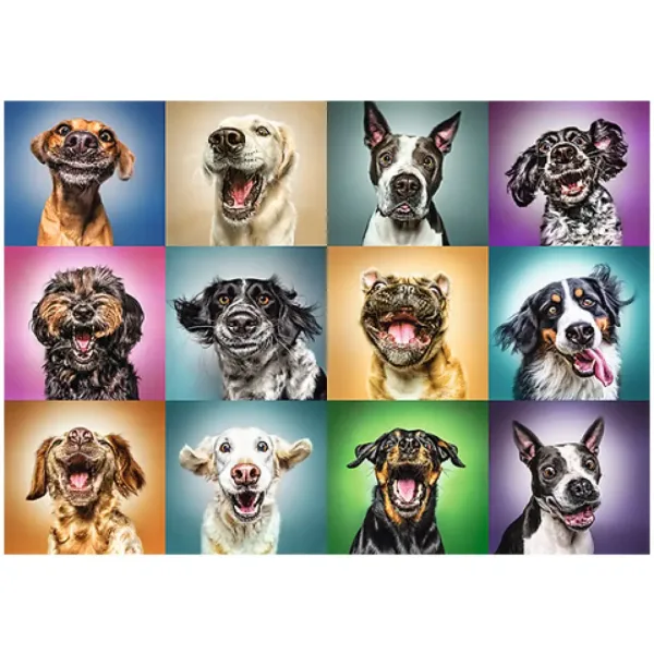 imagen de Rompecabezas de 1000 piezas de retratos de perro divertido - Trefl 2