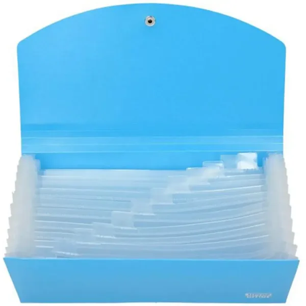 imagen de Spirit: carpeta de archivo de estilo americano azul de 12 compartimentos 2