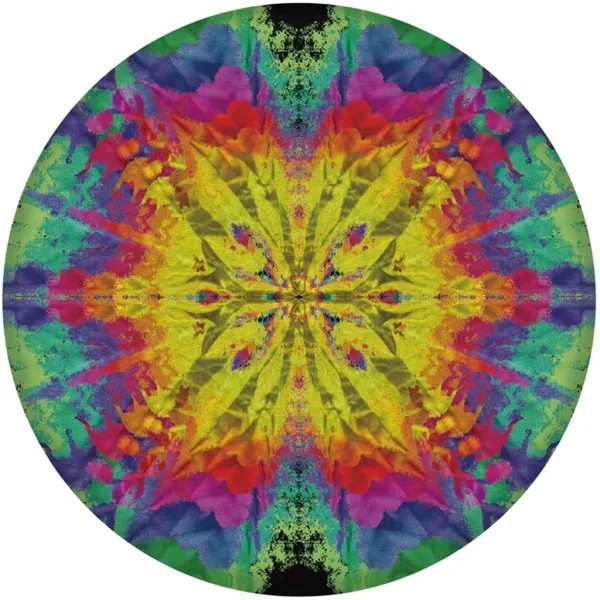 imagen de Waboba: Wingman Pro frisbee de silicona en varias versiones 4