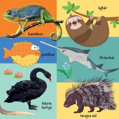 imagen de 101 imágenes coloridas de animales salvajes libro para bebés 2