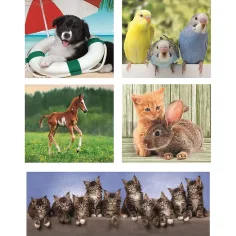 imagen de Amigos animales 10 en 1 super color puzzle - Clementoni 2
