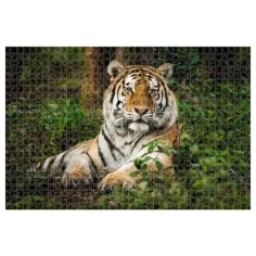 imagen de Animal Planet: Puzzle de Tigre de 1000 piezas 2