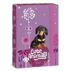 Ars Una: Animales adorables - Caja de cuadernos A4