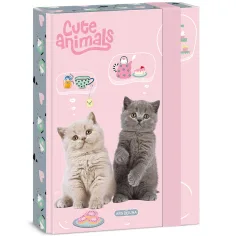 Ars Una: Animales adorables - caja de cuadernos de té con gatos A/5