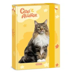 Ars Una: Gato del bosque noruego lindo A/5 caja de cuadernos