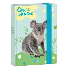 Ars Una: Koala Adorable A/5 caja de cuadernos