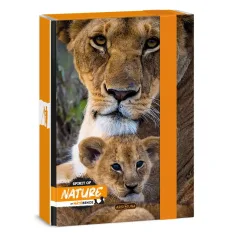 Ars Una: Máté Bence Spirit of Nature - Caja de cuadernos con león A/5