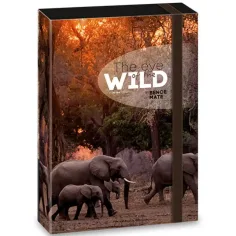 Ars Una: Máté Bence The Eyes of the Wild - Caja de cuadernos A/4