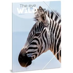 Ars Una: Máté Bence The Eyes of the Wild - Cebra A/4 carpeta