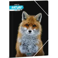 Ars Una: Máté Bence - Zorro A/4 carpeta con goma