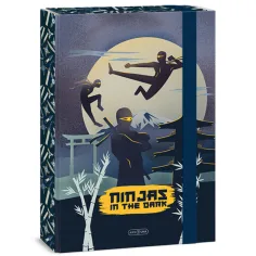 Ars Una Ninjas en la oscuridad caja de cuadernos A/4