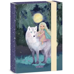 Ars Una: Northern Lights caja de cuadernos A/5