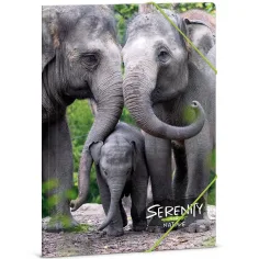 Ars Una: Serenity – Elefante A/4 carpeta con goma