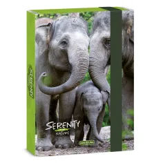 Ars Una: Serenity Elefante caja de cuadernos A5