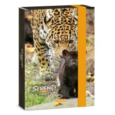 Ars Una: Serenity Jaguar caja de cuadernos A5