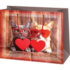 Bolsa de regalo mediana de animales enamorados 18x10x23cm