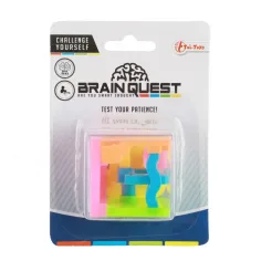 Brain Quest laberinto de cubos juego de habilidad