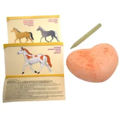Caballo Amigos sorpresa