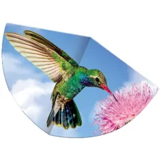 Colibrí cometa