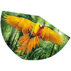 Cometa loro