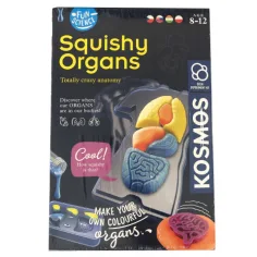 Fun Science - Squishy Organs juego de set -Piatnik