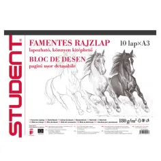 ICO: Cuaderno de bocetos A/3