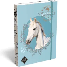 ICO: Lizzysuli Wild Beauty Sport Club caja de cuadernos A/4
