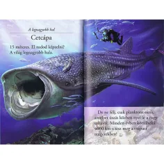 imagen de ¡Lee con nosotros! (2) - El mundo de los tiburones libro infantil 3