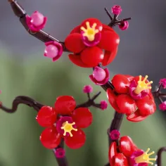 imagen de LEGO® Icons: Flor de ciruelo (10369) 6