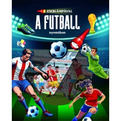 imagen de Linterna - En busca del fútbol 2