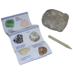 Minerales y fósiles sorpresa roca