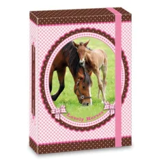 My Horse caja de cuadernos A5