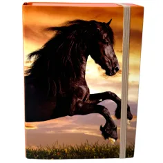 Nebulo: Caja de cuadernos en tamaño A/5 con diseño de caballo negro
