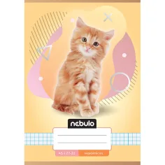 Nebulo: Cuaderno a cuadros con estampado de gatos A/5 27-32