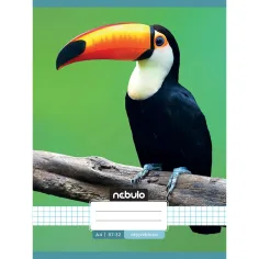 Nebulo: Cuaderno de cuadros con diseño de tucán 87-32 A/4