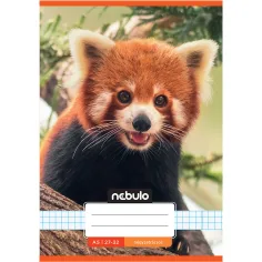 Nebulo: Cuaderno de cuadros con estampado de panda rojo 27-32 A/5