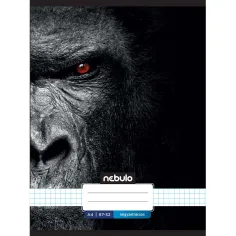 Nebulo: Cuaderno de gorila con estampado a cuadros en llamas 87-32 A/4