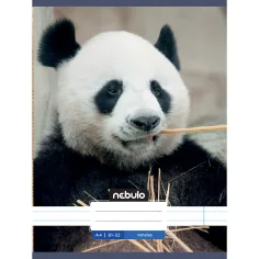 Nebulo: Cuaderno de líneas con estampado de panda 81-32 A/4