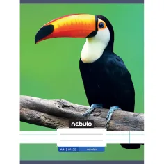 Nebulo: Cuaderno de líneas con estampado de tucán 81-32 A/4