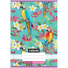 Nebulo: Cuaderno de rayas con diseño de loro de 3er grado 12-32 A/5