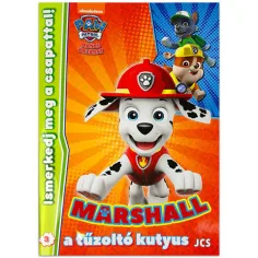 Paw Patrol: ¡Conoce al equipo! 3. - Marshall, el perrito bombero de actividades