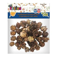 Piña de pino seca 20gr