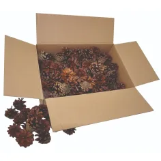 PlayBox: Conjunto de piñas de pino de 125 piezas