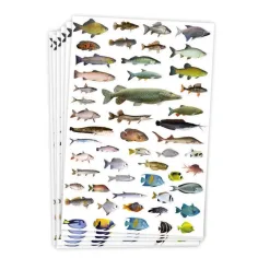 PlayBox: Pegatinas de peces de 300 piezas