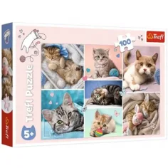Puzzle de 100 piezas de gatos - Trefl