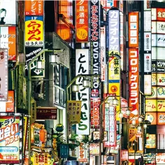 imagen de Rompecabezas de 250 piezas con marco de luces de Tokio - Clementoni 2