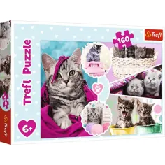 Rompecabezas de gatitos lindos de 160 piezas - Trefl